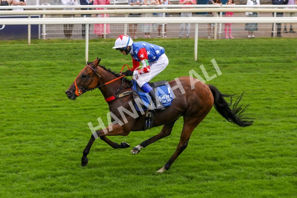 100923-Pony Race 1-Seal The Deal-3660 - Pony Race 1 12.25 The Dragon (TV and Film) Studios Pony Race 148cm & Under