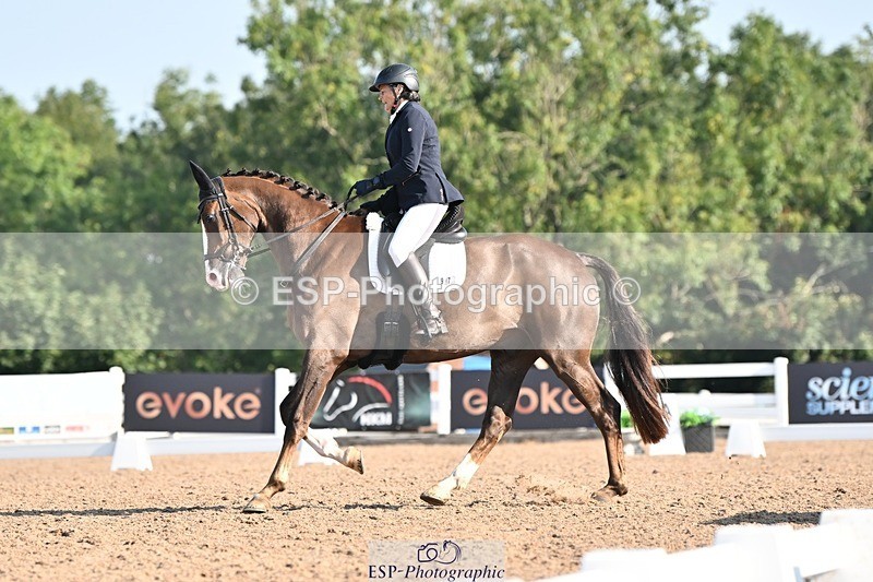 250816-090719-02561 - 097-Susie.CullenSir.Safir.Caledonia