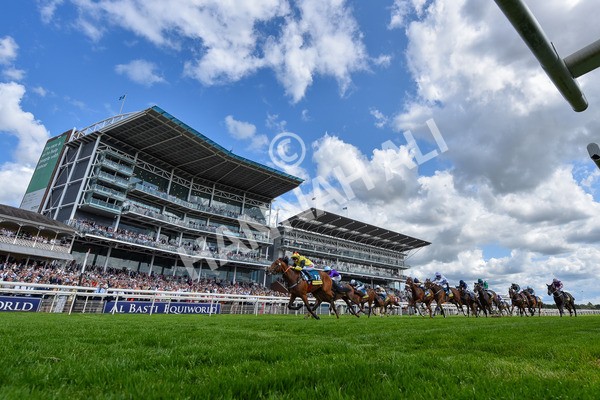 140625-Race 4-Hucklesbrook-4634 - Race 4 3.35pm Churchill Tyres Supporting Macmillan Sprint Handicap