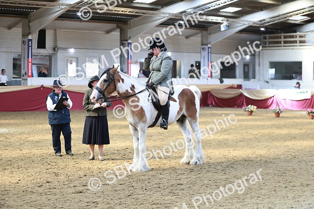 SBM_07094 - Class 10R - Regional Ridden Diamond
