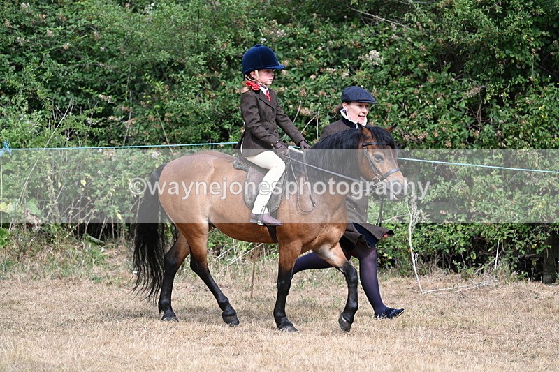 WJ7_6526 - Class 1 Lead Rein Pony
