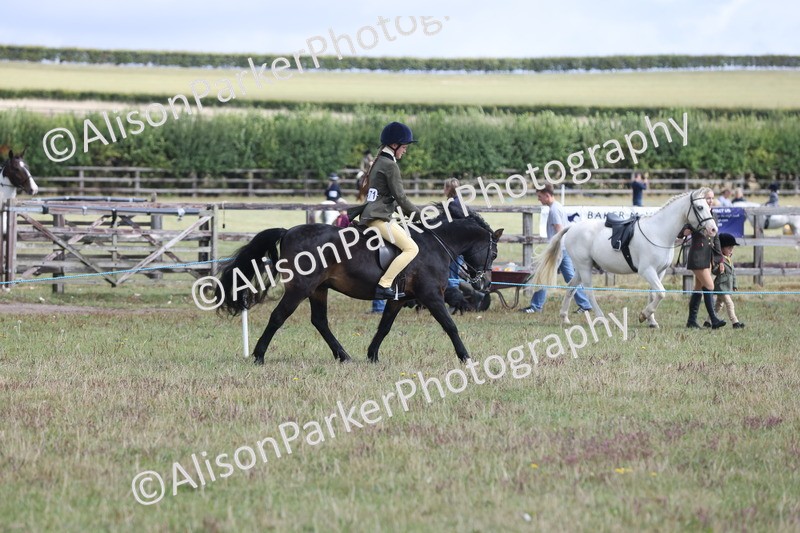 20250831-1163 - Class 15 - Ridden Veteran