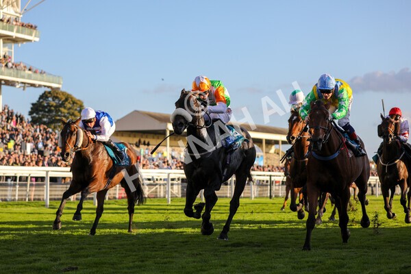 yr08102022r7-32 - Race 7 5.00pm The Coral Gets You Closer To The Action Stakes