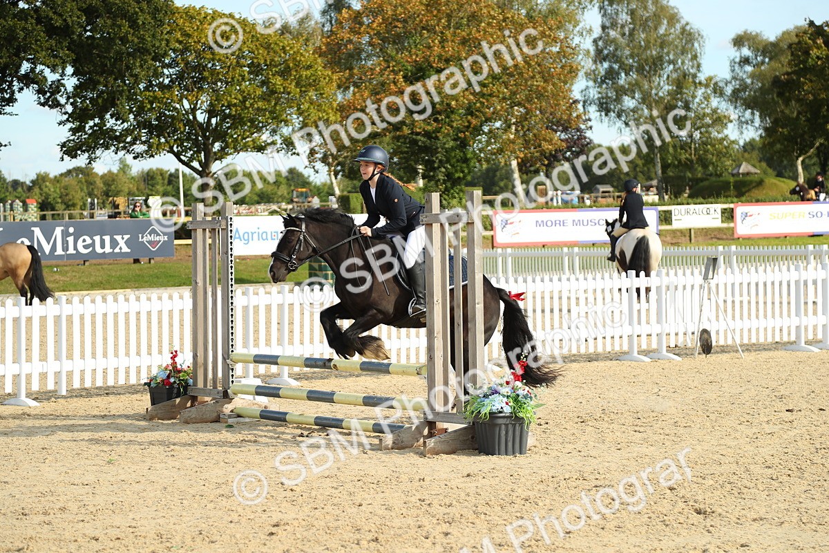 SBM_51604 - J7 - Junior Pony 60cm Championship