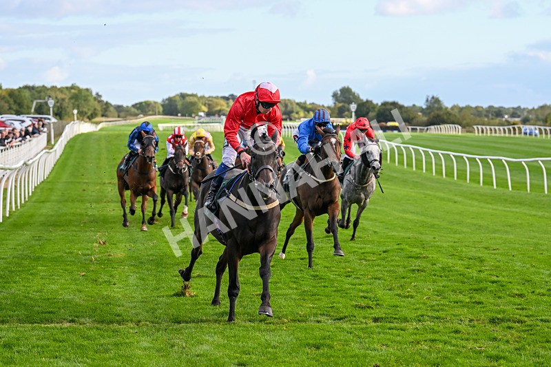 021024-Race 6-Redrosezorro-9654 - Race 6