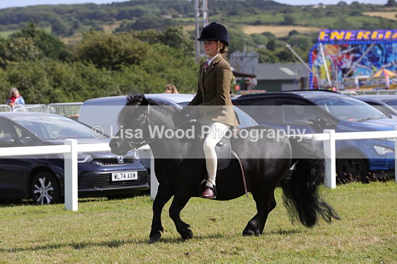 1X9A5601 - Class 39: NPS Dartmoor, Exmoor, Shetland