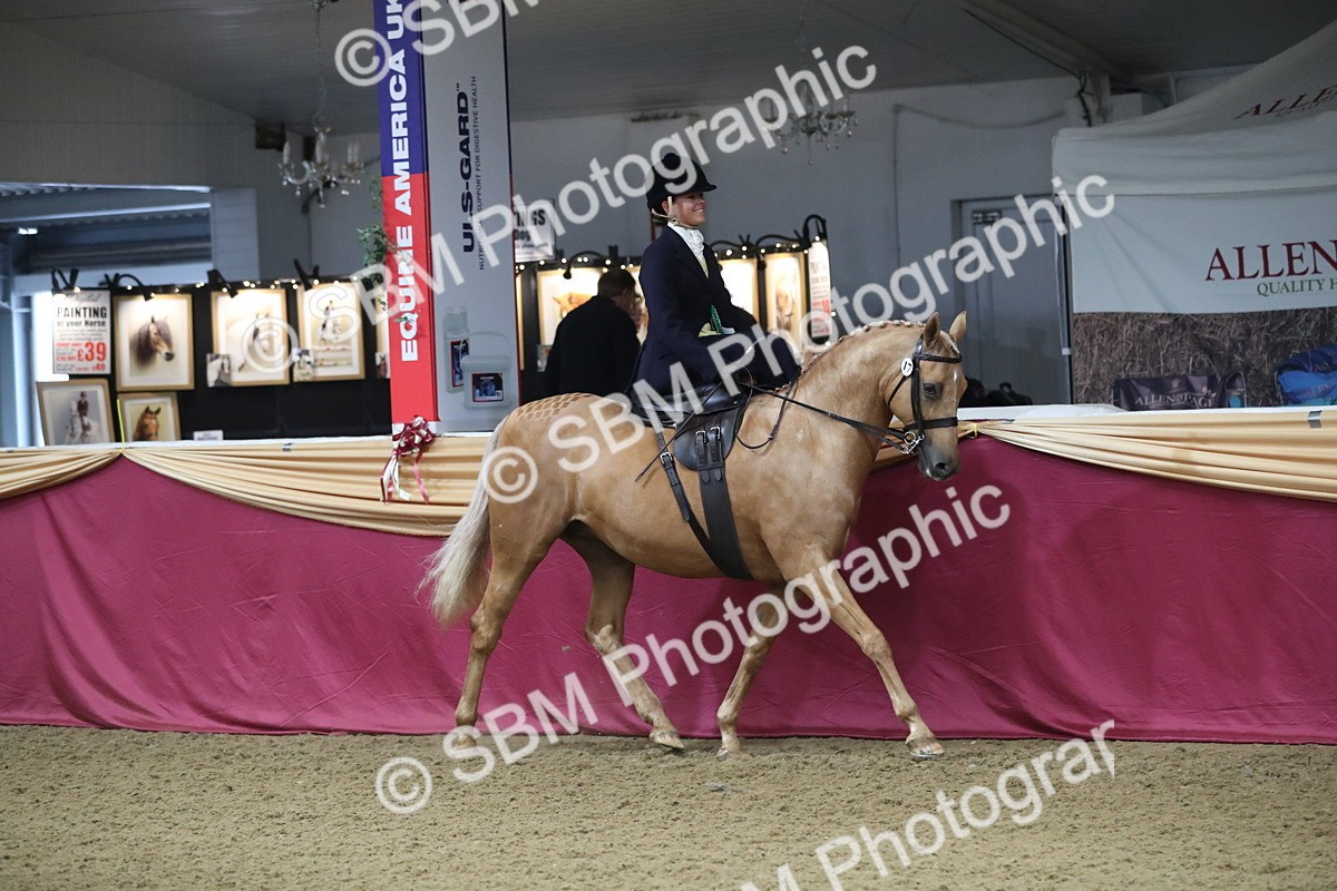 SBM_09395 - Class 101 Equitation (best rider), Junior