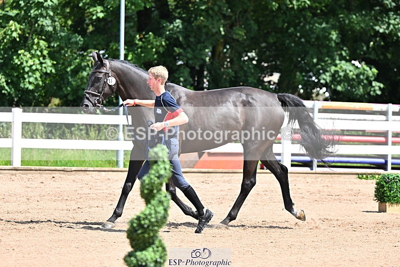 240718A-105245-01112 - Trot Up 12pm to 1pm