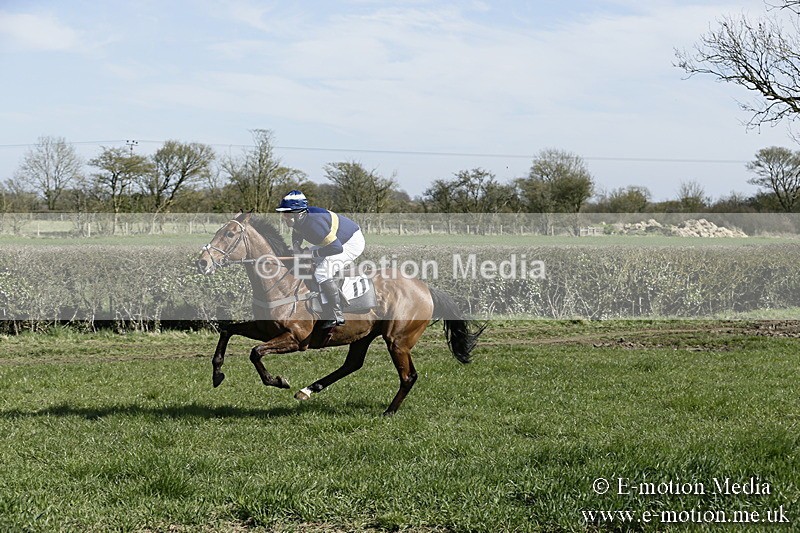 PtP 250317 108 - V.W.H. Hunt Point-to-Point Siddington 25/03/17
