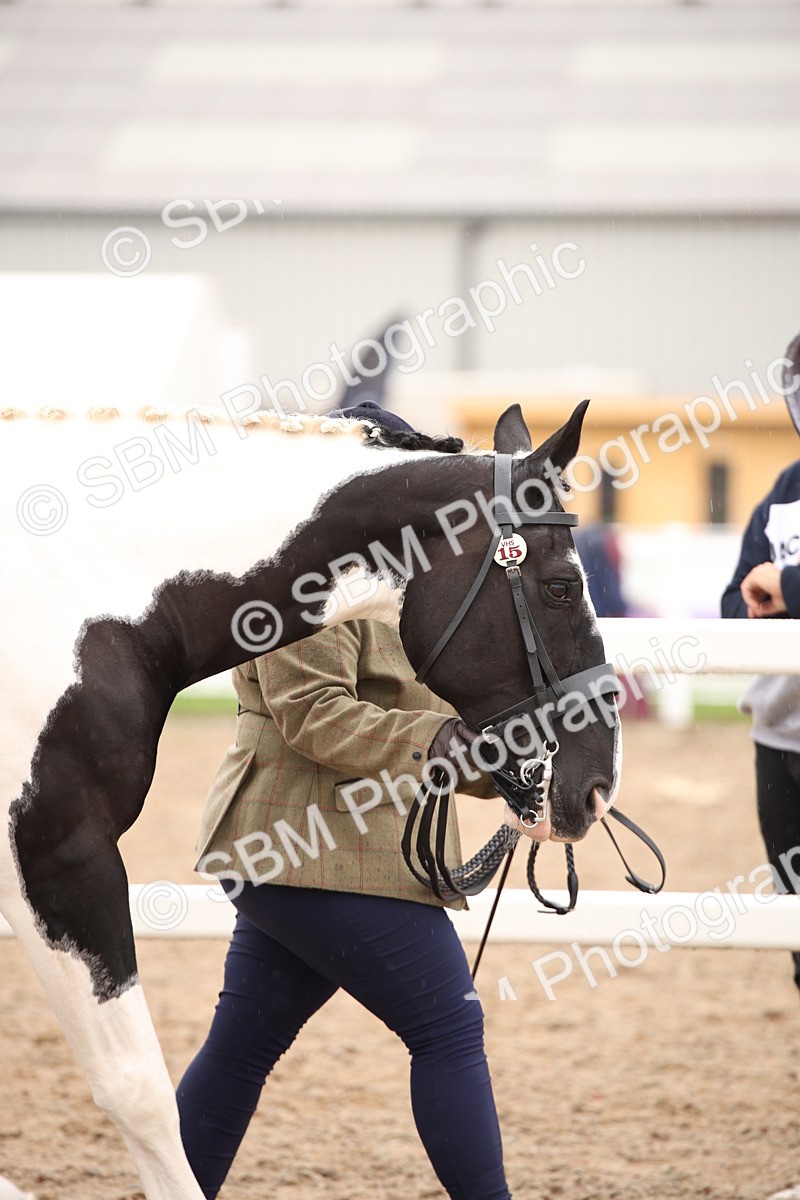 SBM_20215 - Class 703 - IH  Coloured