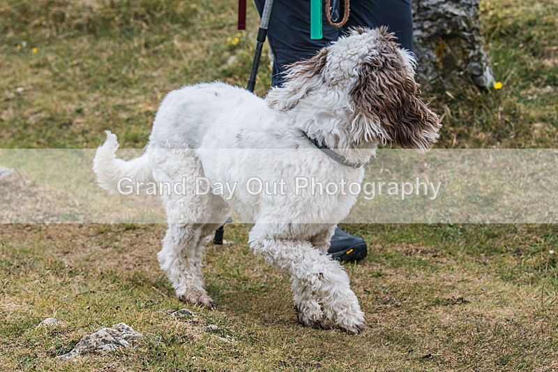 Hutton Roof-694 - Hutton Roof Fell Race Saturday 24th May 2025