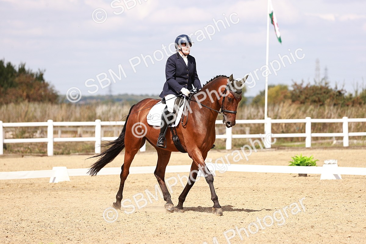 SBM_018506 - Class 17 - Novice 6