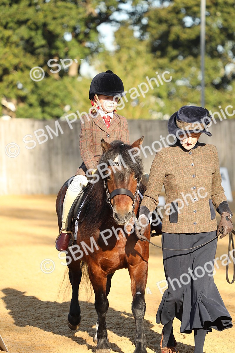 SBM_33669 - D26 - Starers - Lead Rein