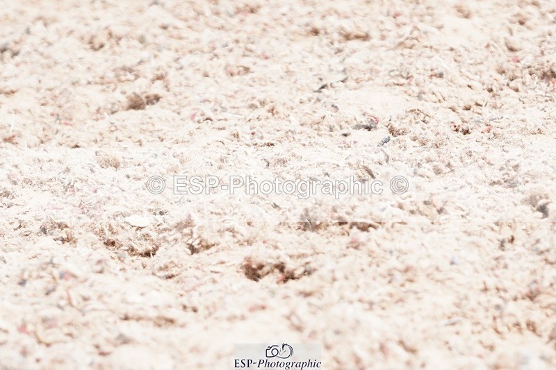 250622-104656-13402 - Cls 52 FreeStyle Elementary Inc Presentations