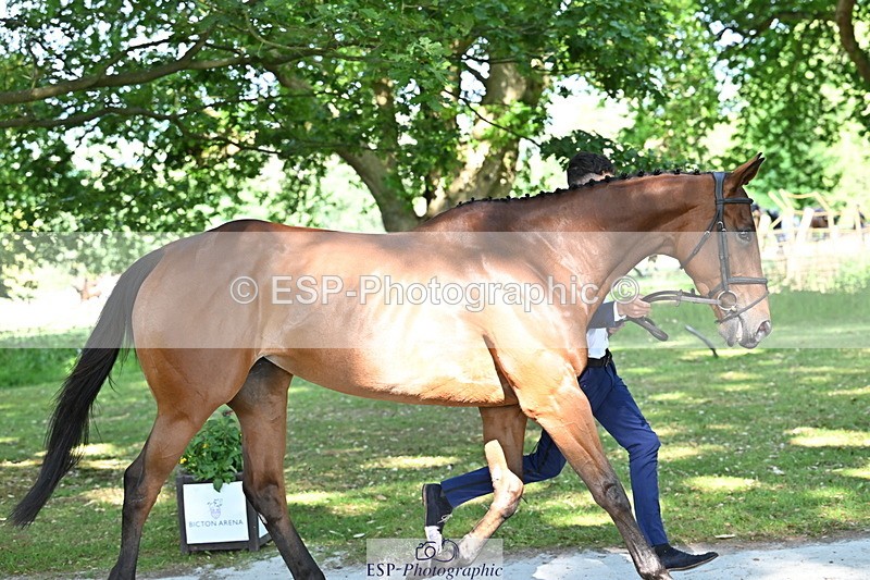 250521A-162125-01085 - C-216-Harrison.Chart-MY.KIND.OF.LADY