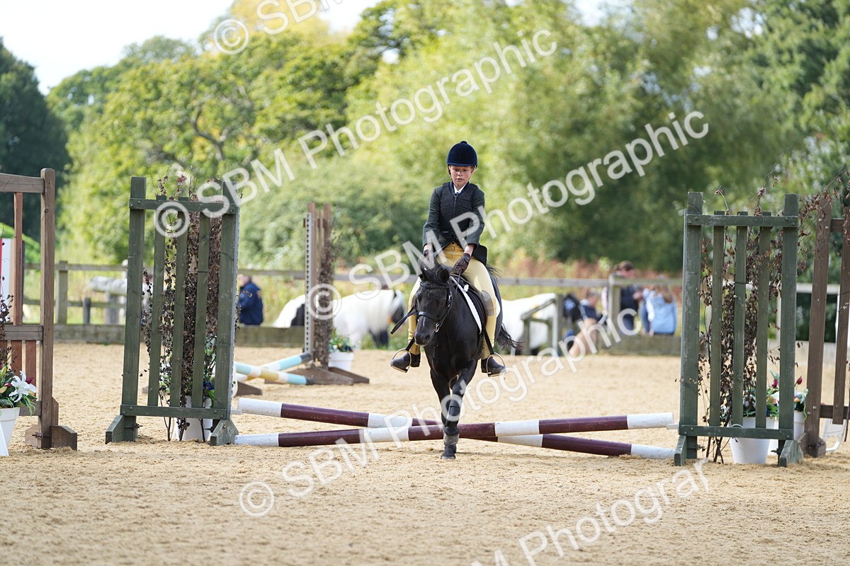 SBM_64464 - J2 - Mini Tour Junior Pony 30cm Championship