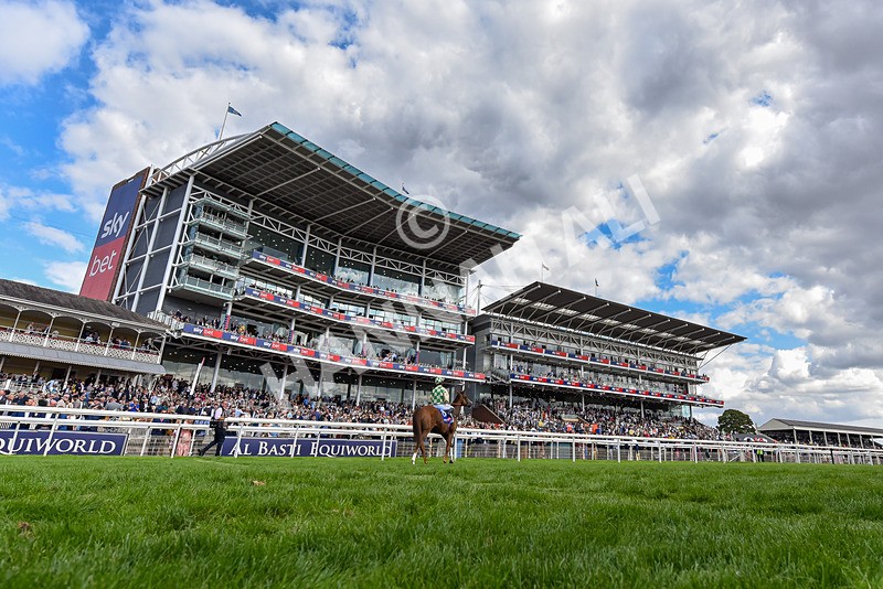 220826-Race 4-Daiquiri Bay-6118 - Race 4 15.35pm Sky Bet Ebor Handicap