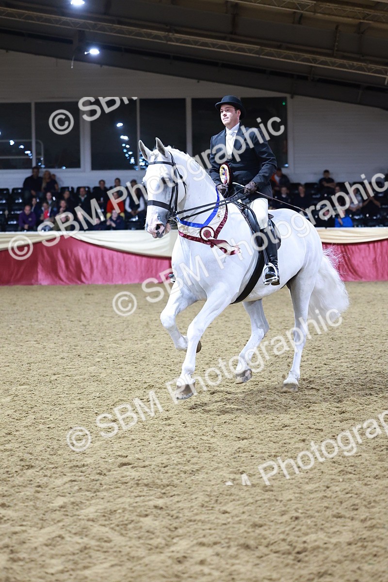 SBM_21174 - class Q - Ridden Horse Champ