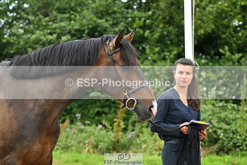 240718A-105308-01612 - Trot Up 1pm to 2pm