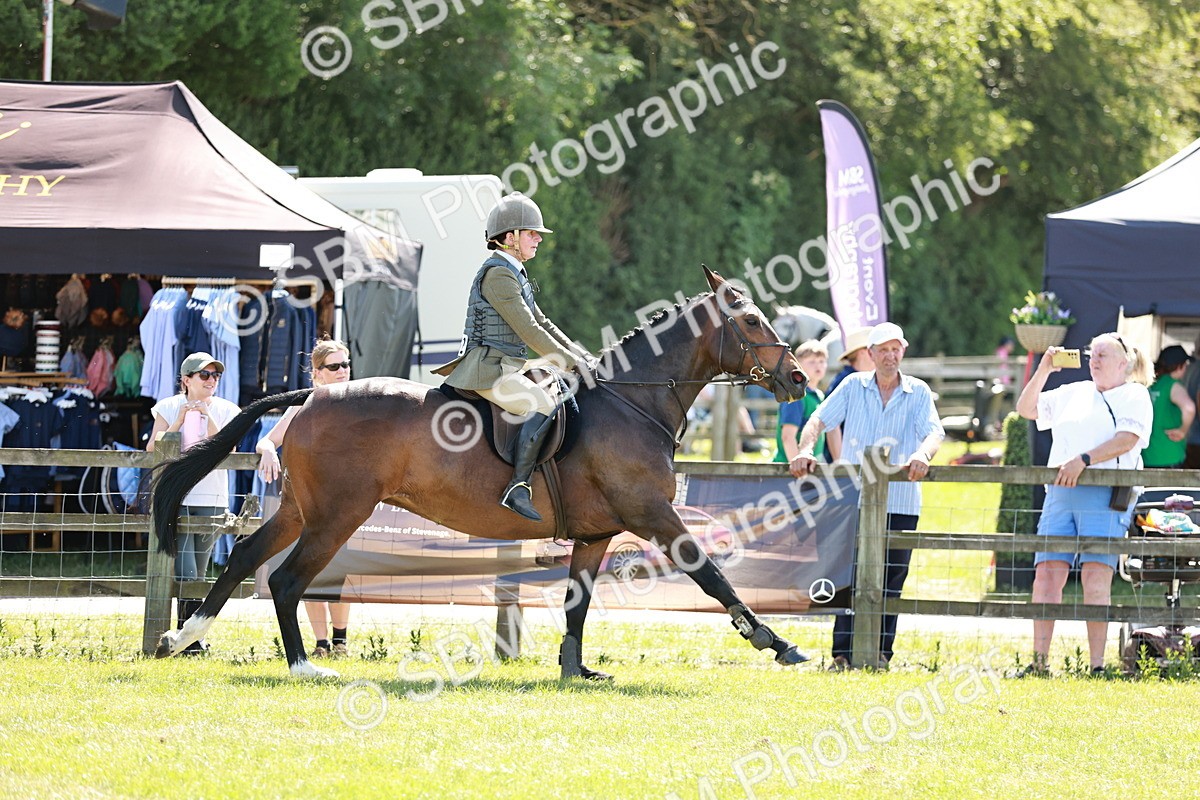SBM_18361 - Class 112-113 - BSPS LIHS Working Sports Pony