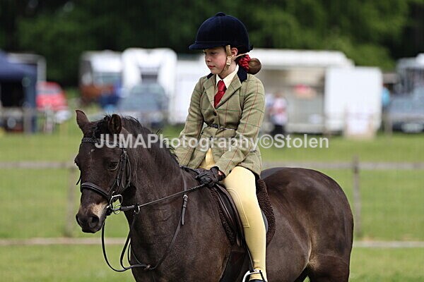 IMG_2641 - Working Hunter
