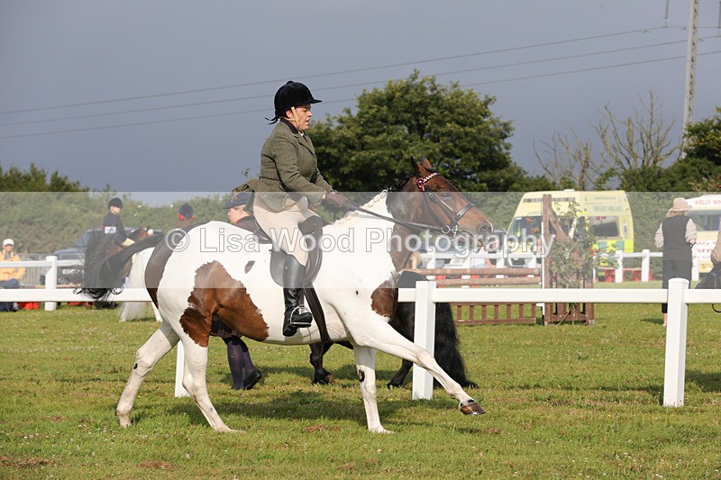 1X9A2920 - Class 25: Ridden Plaited Coloured Horse