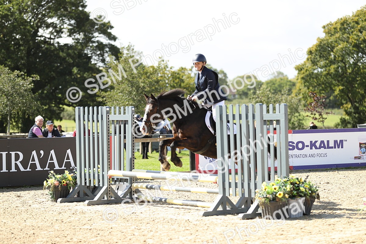 SBM_05611 - J35 - Veteran Rider 60cm