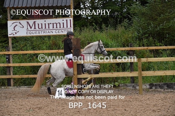 BPP_1645 - DERBY CLASS 4 - 50CM