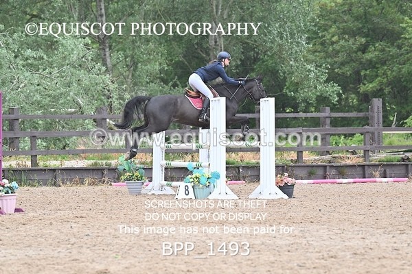 BPP_1493 - CLASS 11 SAT Ariat Senior BritiNovice 2ND ROUND