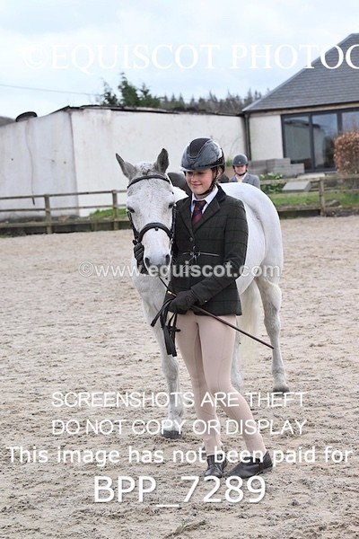 BPP_7289 - RING 1  (RIDDEN HORSES / IN HAND / VETERAN ETC)