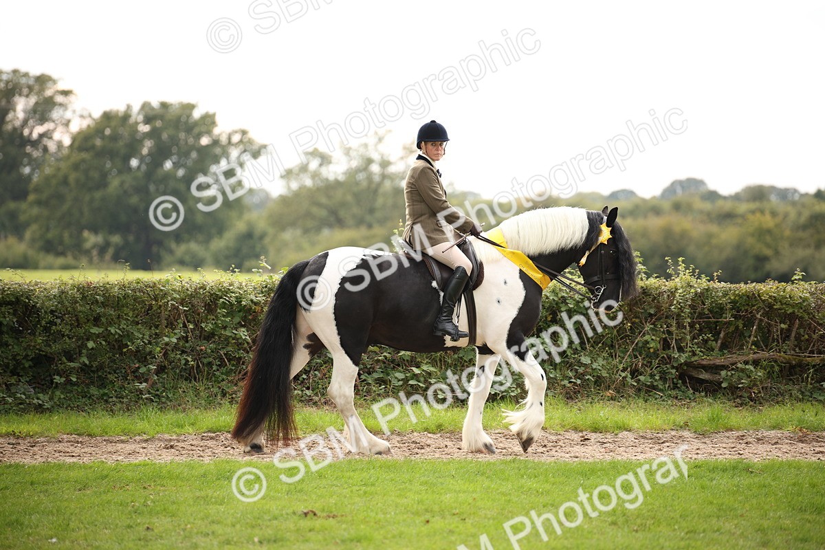 SBM_73610 - Ridden Horse Supreme Championship