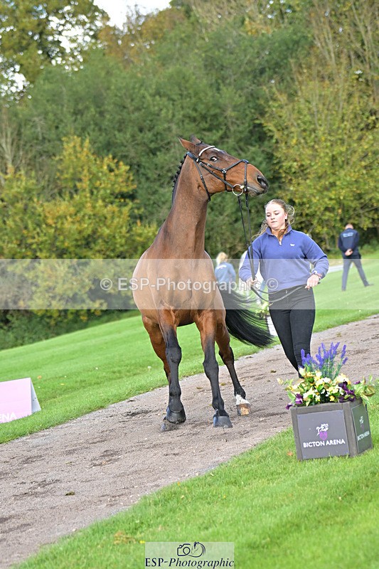 241023-131338-00144 - 008-Charlie.Piper-ZADOK.D