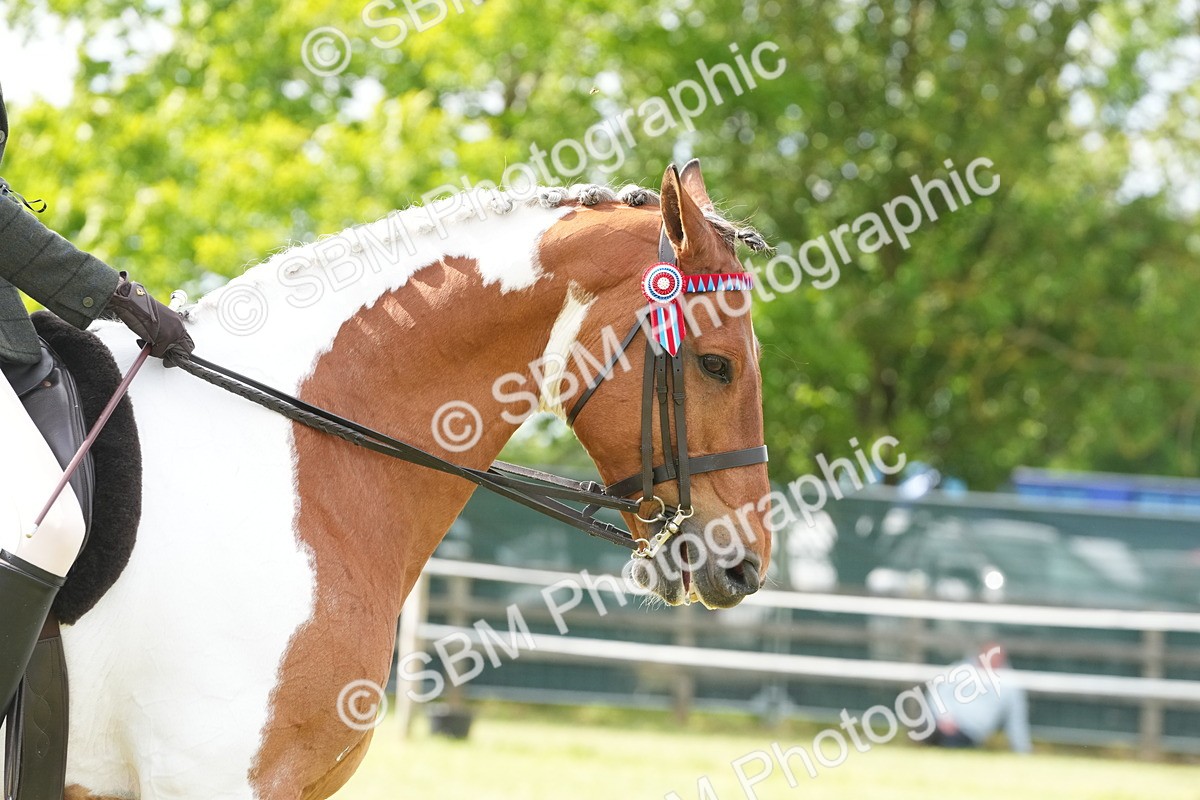 SBM_17616 - Class 107-108 - LIHS BSPS Performance Coloured Horse Pony