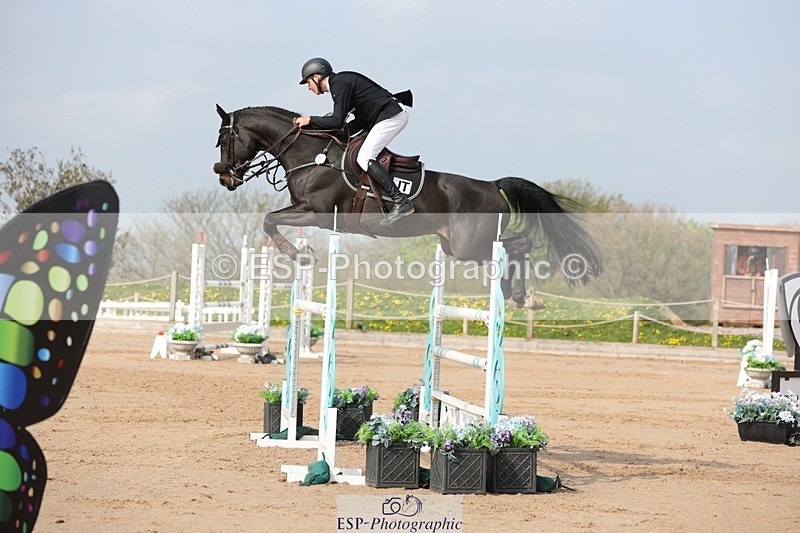 250424-103206-03075 - Cls 33 Young Horse 7yr old