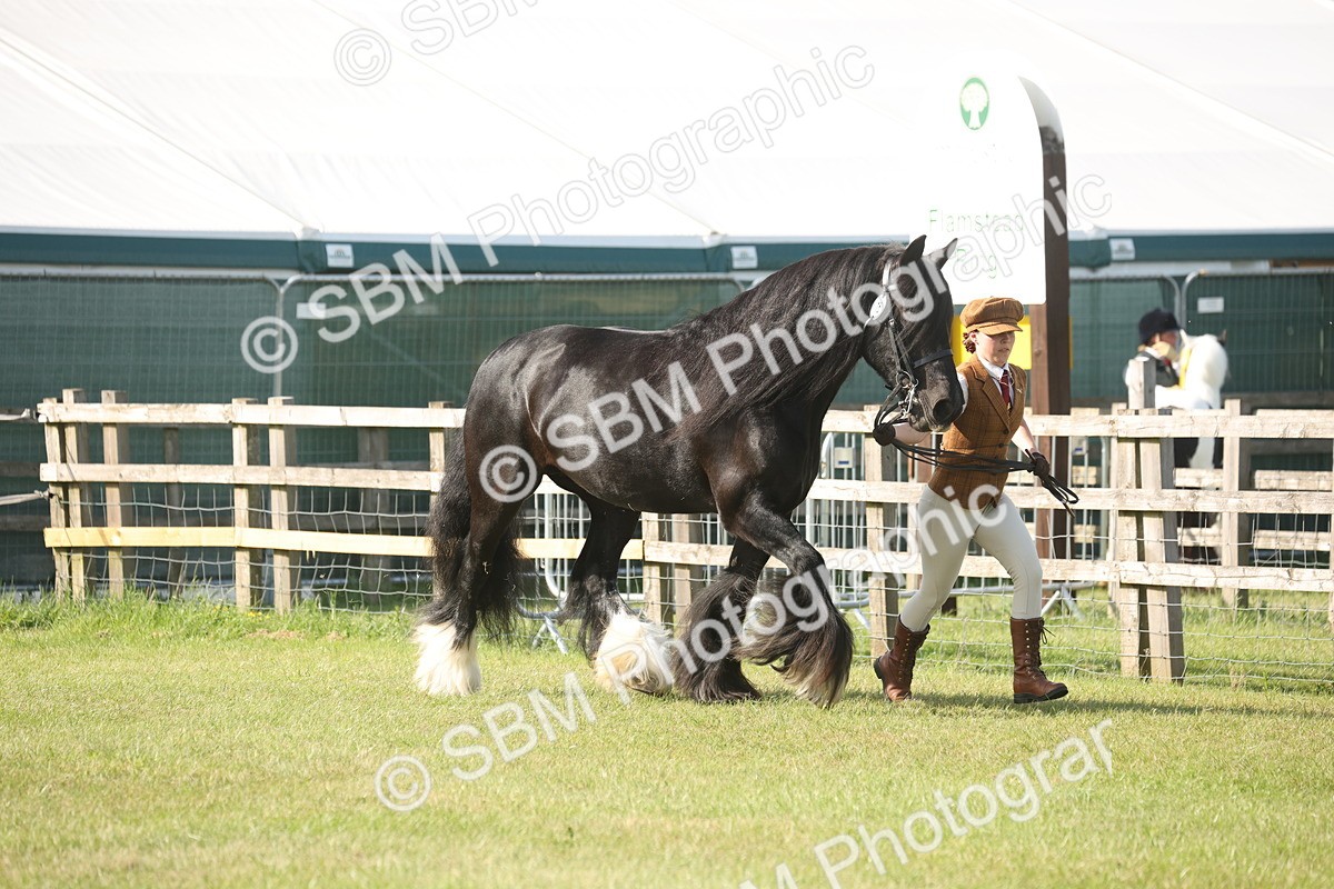 SBM_10329 - Class 33-38 - SSADL RIHS Qualifiers