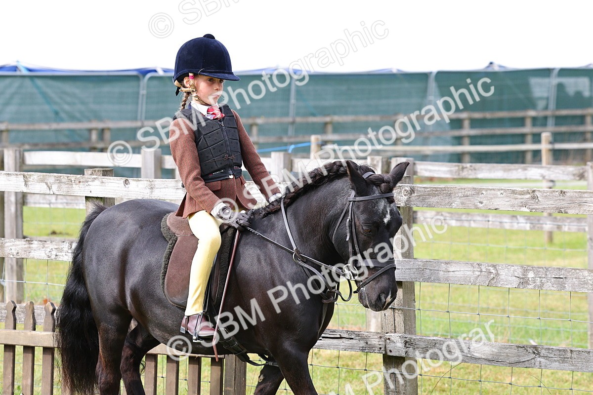 SBM_09625 - Class 44-45 - LIHS BSPS Open Nursery and Cradle Stakes