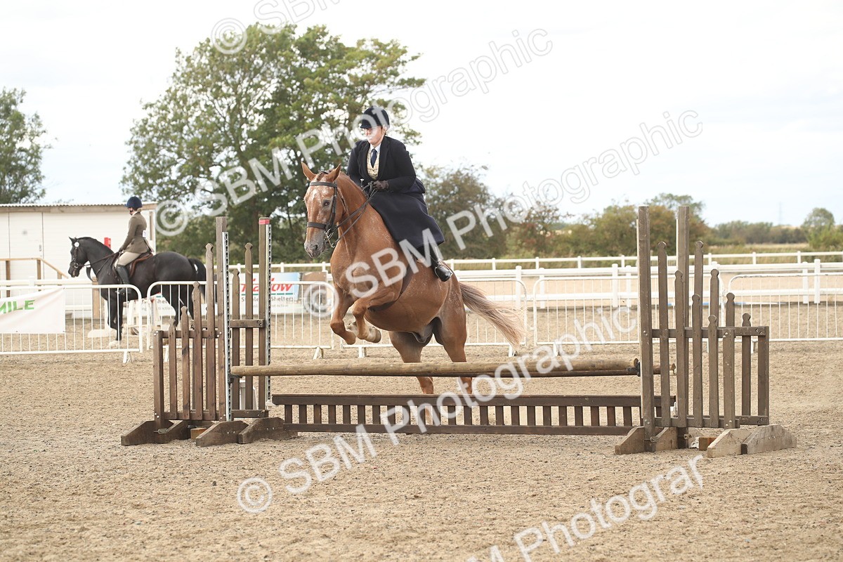 SBM_17660 - Class 508a - Working Veteran 70cm (15-19)