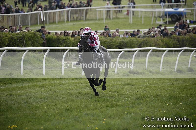 PtP 170417 345 - Old Berks Point-to-Point Lockinge 17/04/17