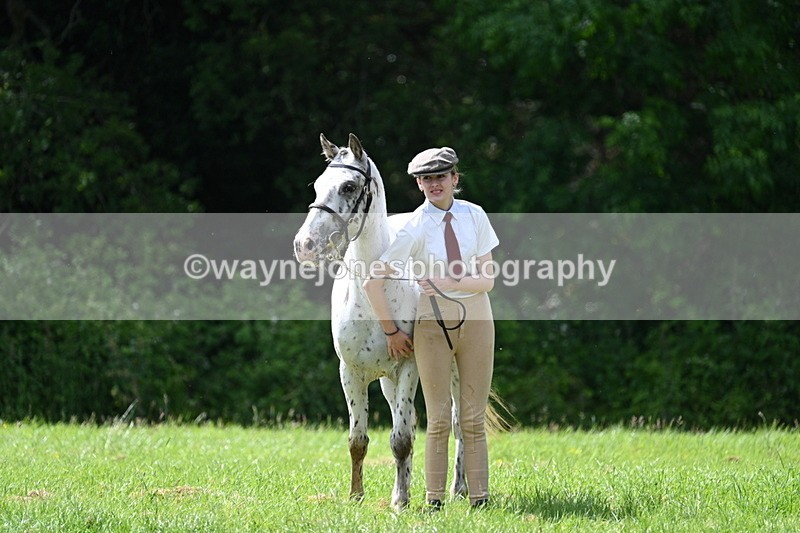 WJ7_1358 - Class 11 Condition & Turnout