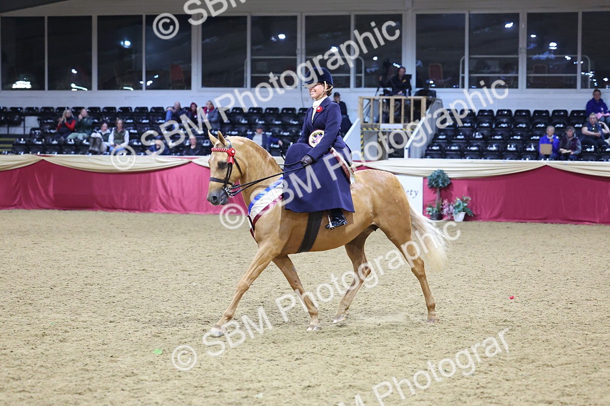 0B8A4265 - Class L Side Saddle Champ