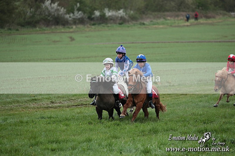SHETPR 210425 168 - Shetland Ponies Paxford Races 21/04/25