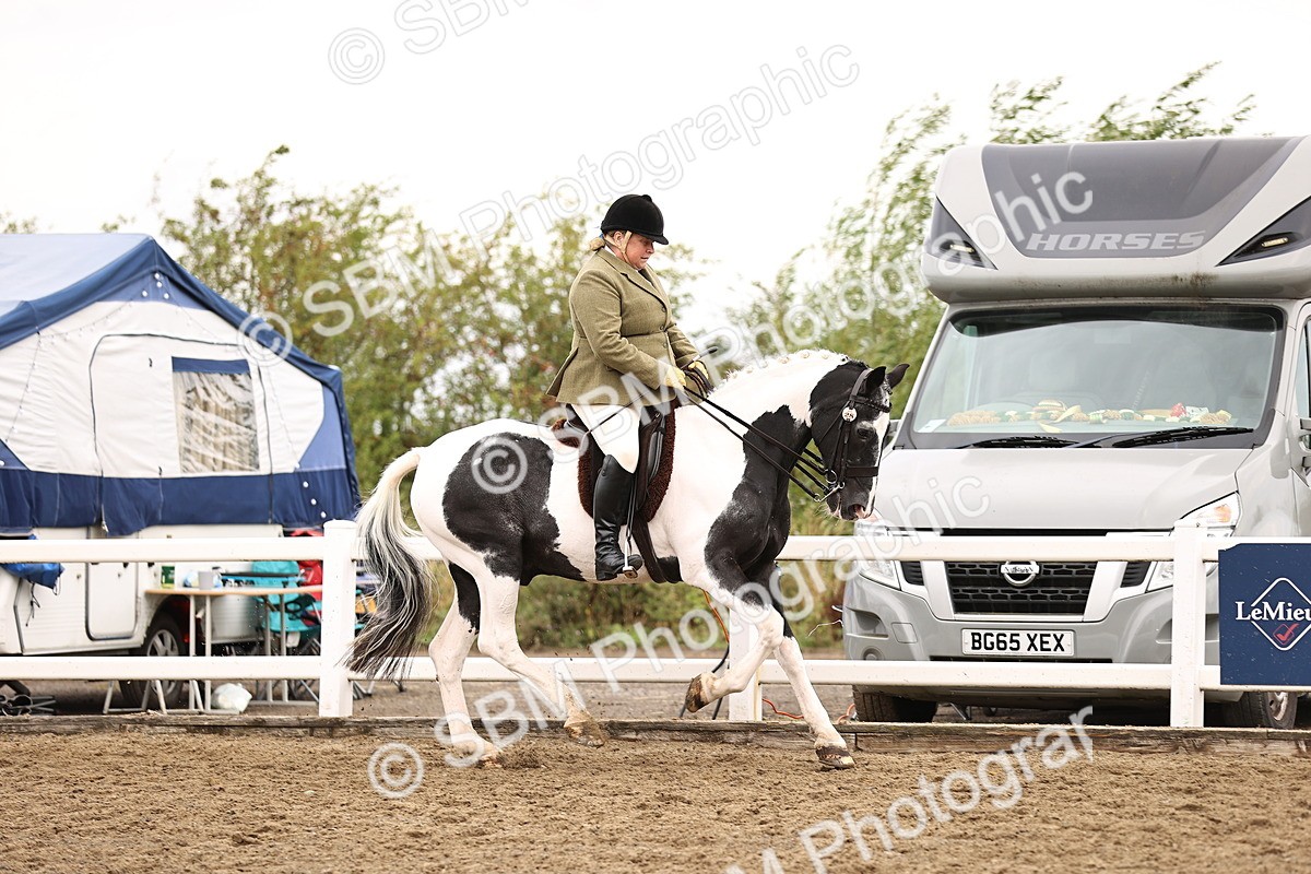 SBM_01354 - Class 54 - Riding Club Horse Pony