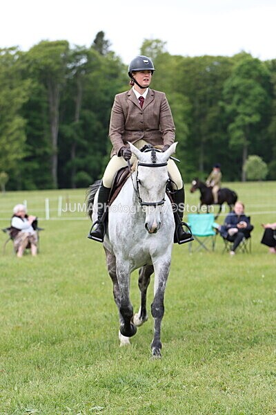 IMG_2831 - Working Hunter