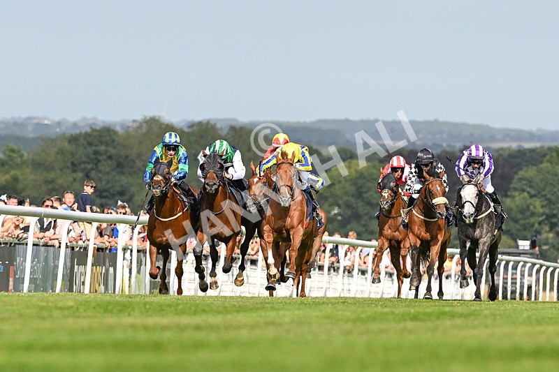140824-Race 6-Glistening Nights-3830 - Race 6