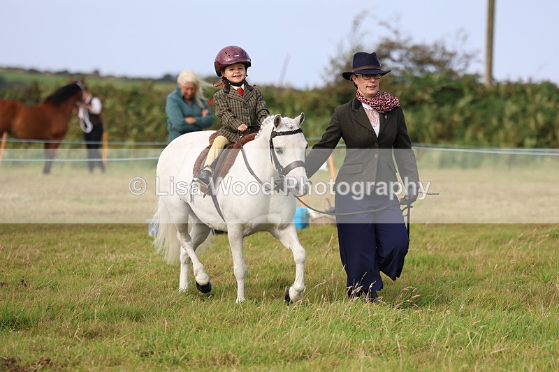 3E7A3613 - Class 2: Lead rein