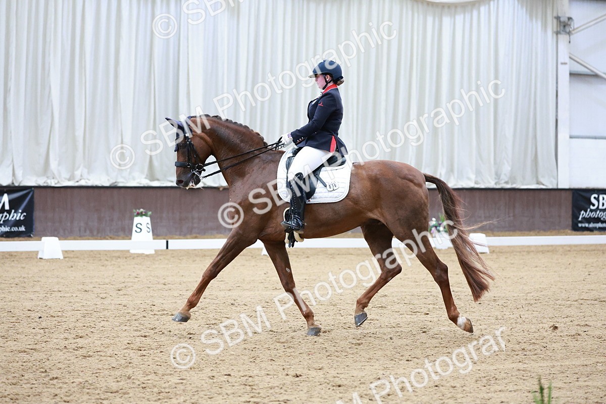 SBM_017933 - Class 15 - FEI Junior