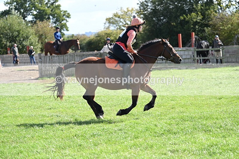 WJ7_1358 - Time 13:56 to 14:24