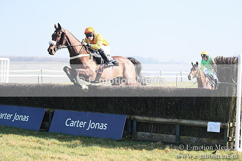 PtP 230219 282 - Vine & Craven Point-To-Point - Barbury 23/02/19