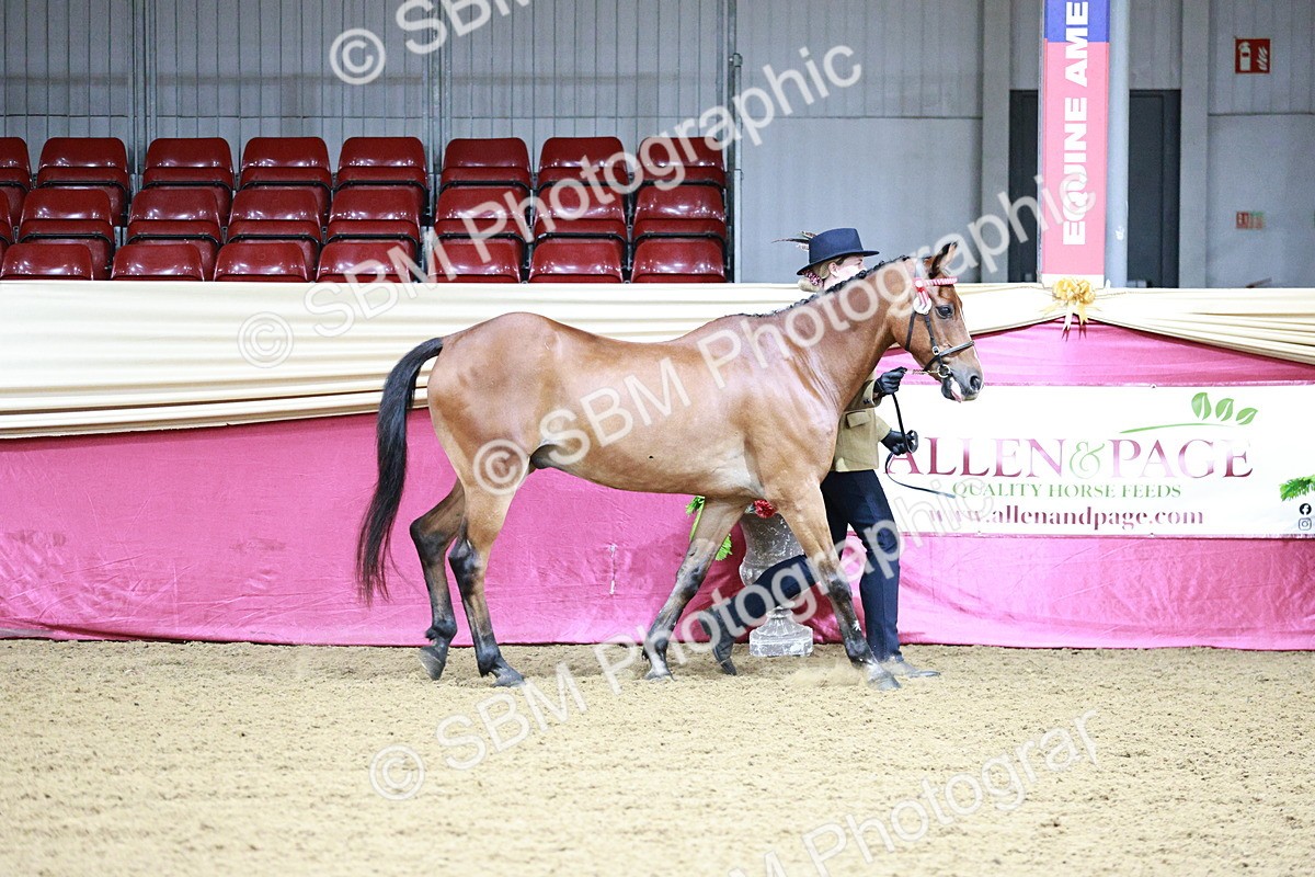 SBM_00127 - Class 1A - Area IH Diamond