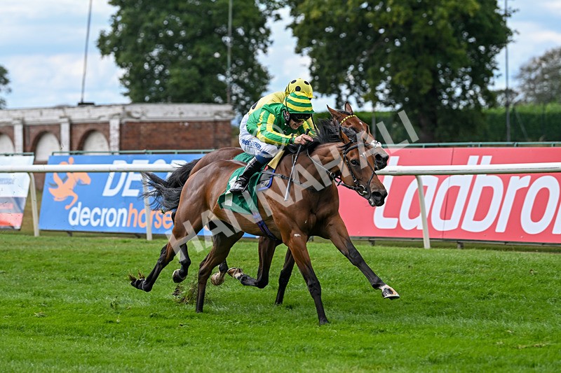 290825-Race 2-Brigids Well-8371 - Race 2